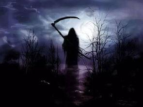 小草神镰刀视频爆料,神秘力量背后的真相曝光 第1张 小草神镰刀视频爆料,神秘力量背后的真相曝光 第1张